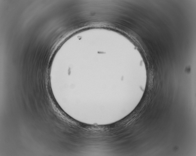 X0000115230895200912111027