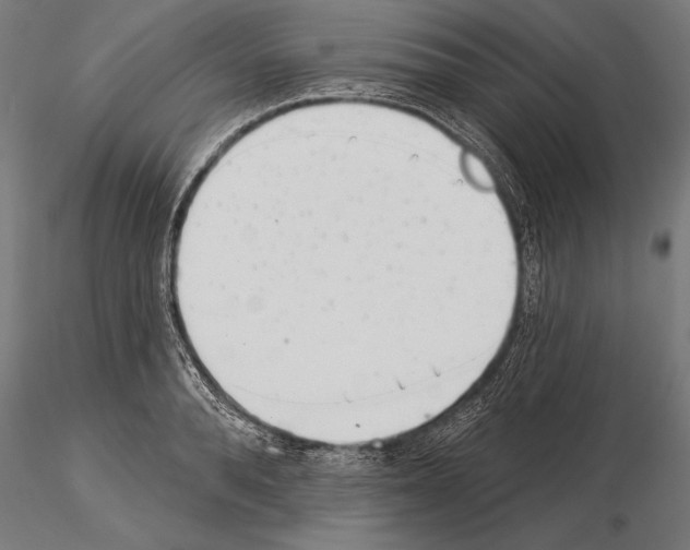 X0000115230896200912111027