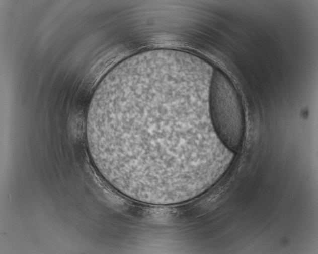 X0000115230897200912111027