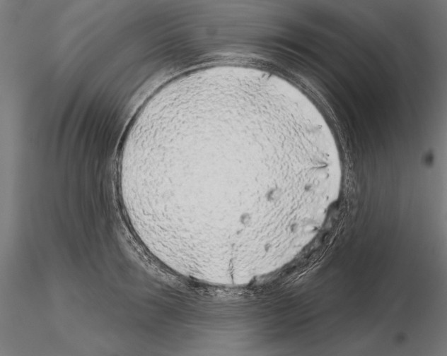 X0000115230899200912111027