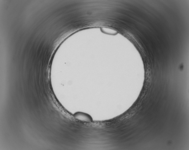 X0000115230900200912111027