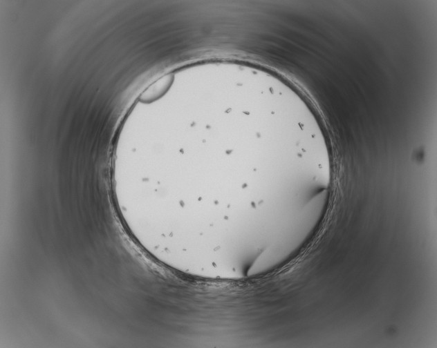 X0000115230903200912111027