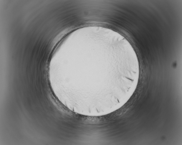 X0000115230907200912111027