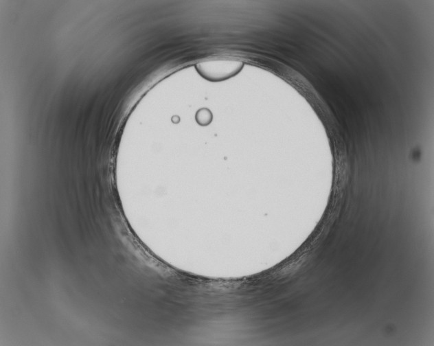 X0000115230908200912111027