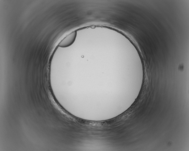 X0000115230911200912111027