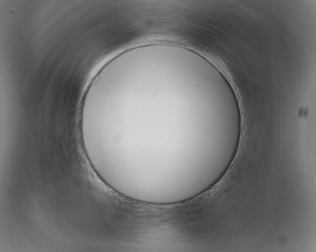 X0000115230912200912111027