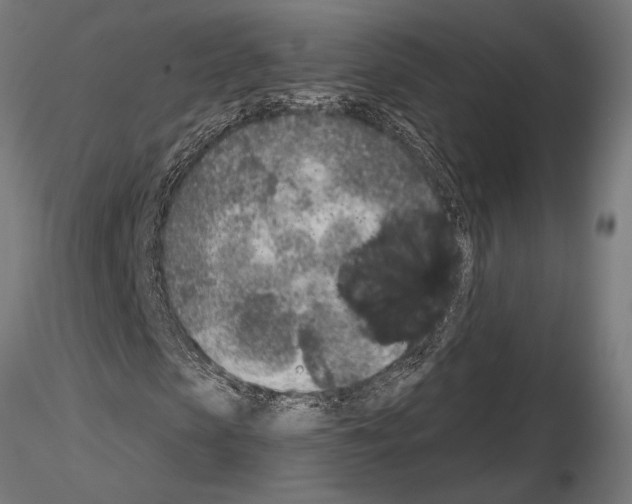 X0000115230913200912111026