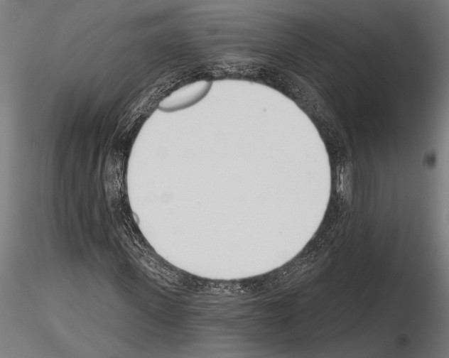 X0000115230915200912111026