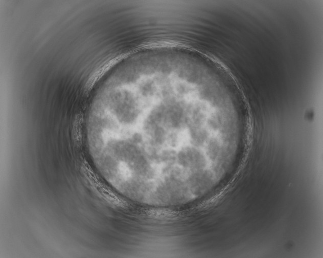 X0000115230921200912111026