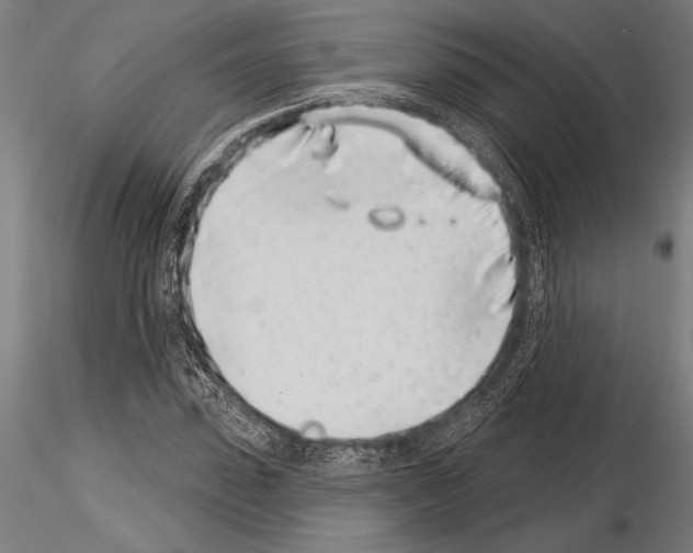 X0000115230923200912111026