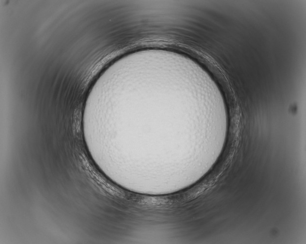 X0000115230929200912111026