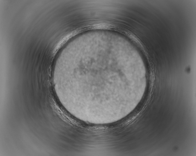 X0000115230930200912111026