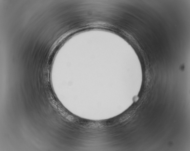 X0000115230931200912111026