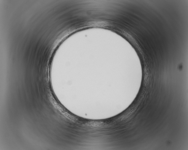 X0000115230939200912111026