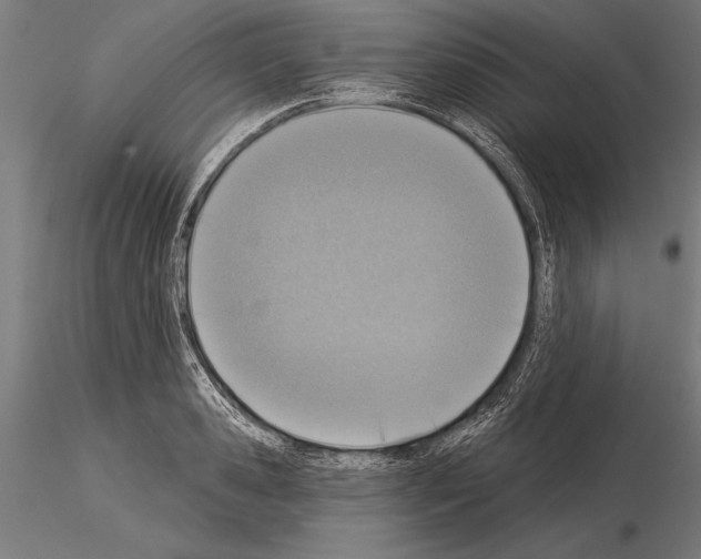 X0000115230941200912111026