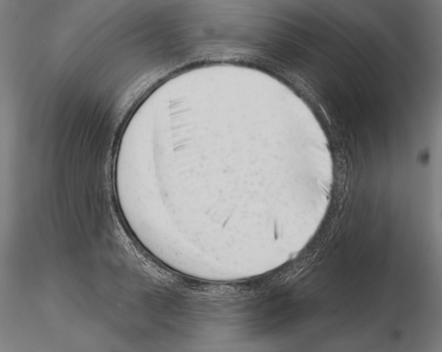 X0000115230943200912111026