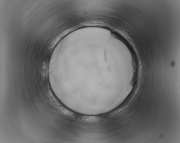 X0000115230945200912111026