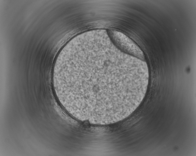 X0000115230946200912111026