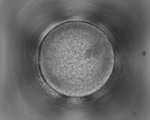 X0000115230950200912111026