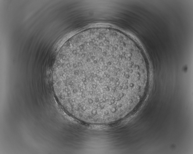 X0000115230953200912111027