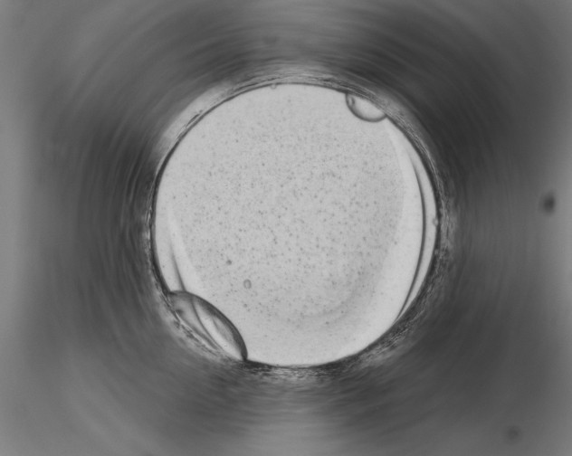 X0000115230954200912111027