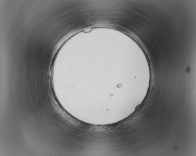 X0000115230955200912111027