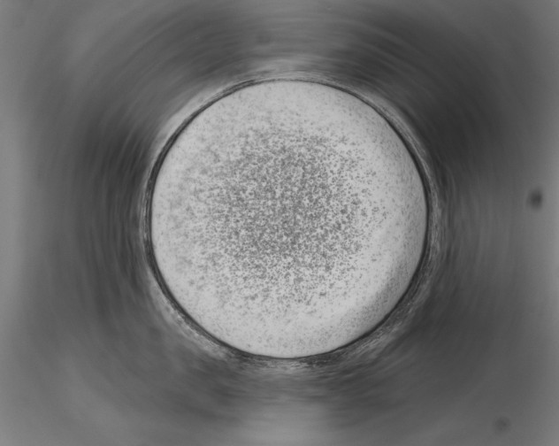 X0000115230957200912111027