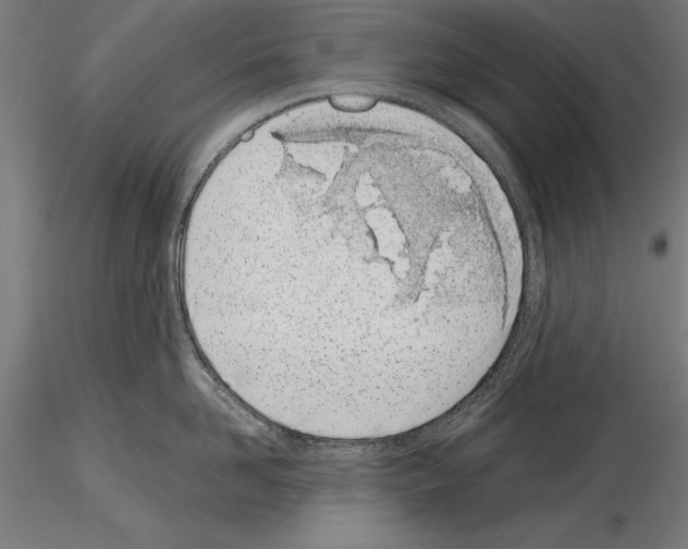 X0000115230958200912111027