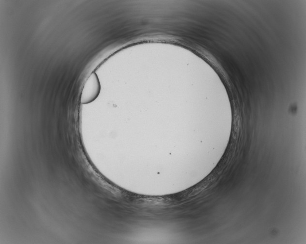 X0000115230959200912111027