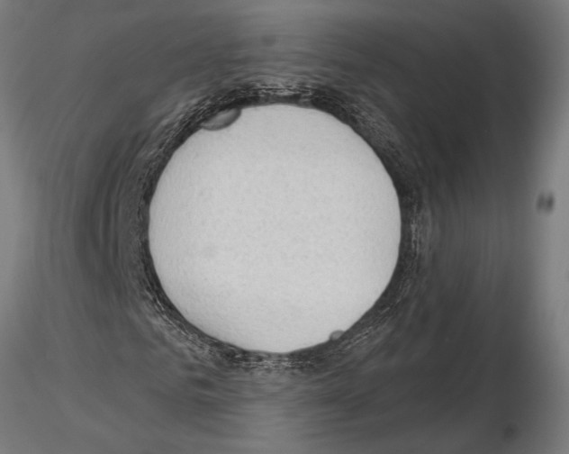 X0000115230961200912111026