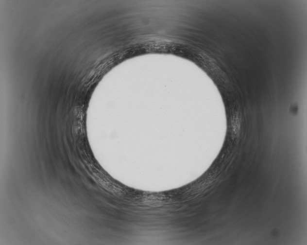 X0000115230964200912111026