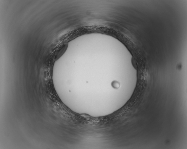 X0000115230965200912111026