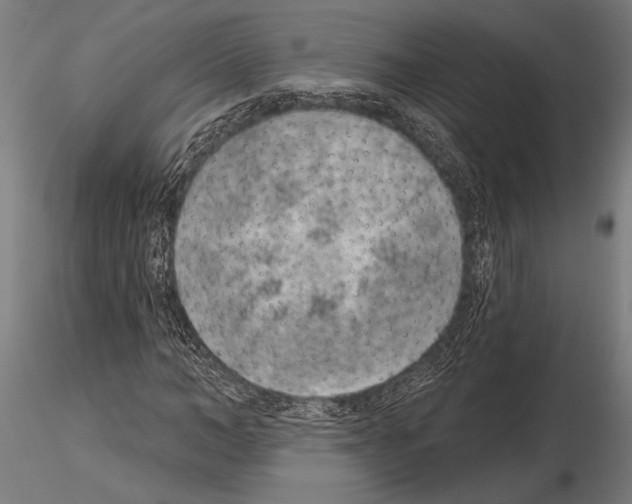 X0000115230966200912111026