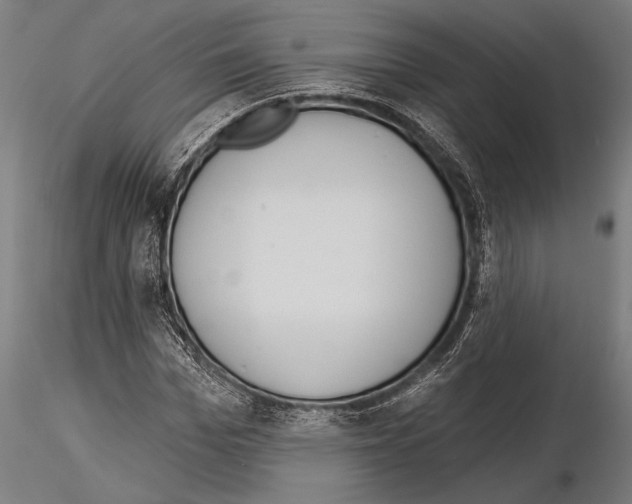 X0000115230969200912111026