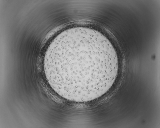 X0000115230970200912111026