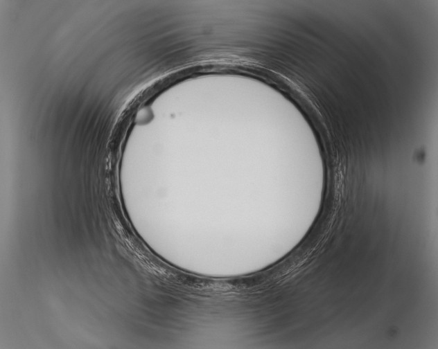 X0000115230971200912111026