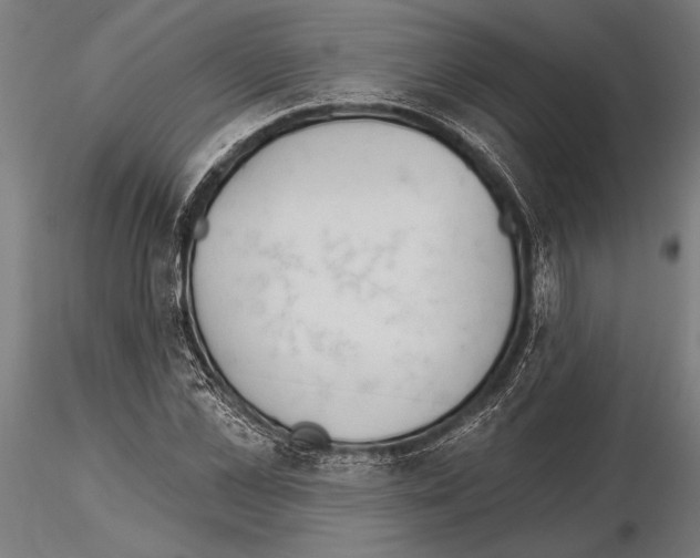 X0000115230973200912111026