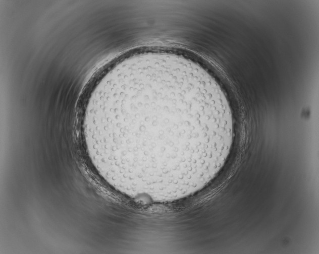 X0000115230974200912111026