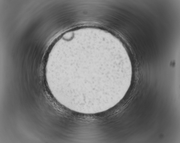 X0000115230975200912111026