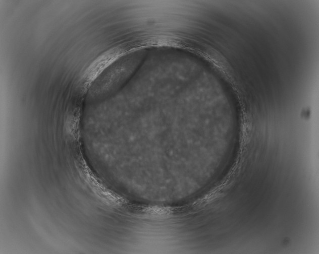 X0000115230977200912111026