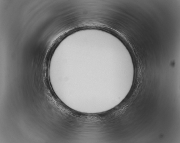 X0000115230979200912111026