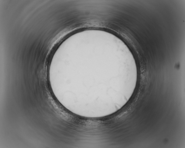 X0000115230981200912111026