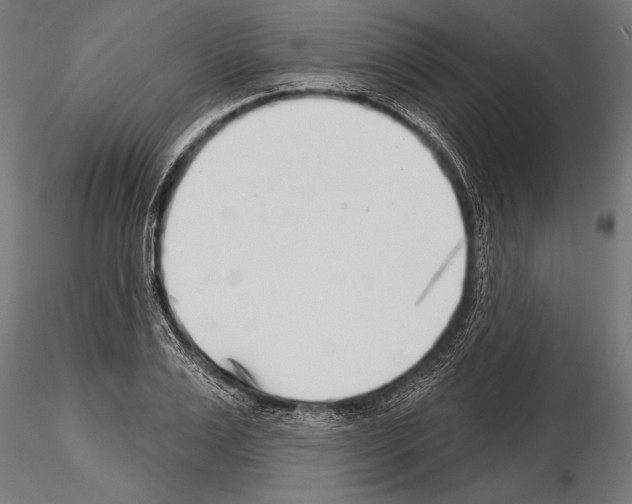 X0000115230983200912111026