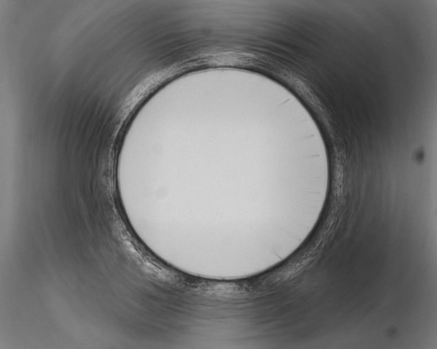 X0000115230986200912111026