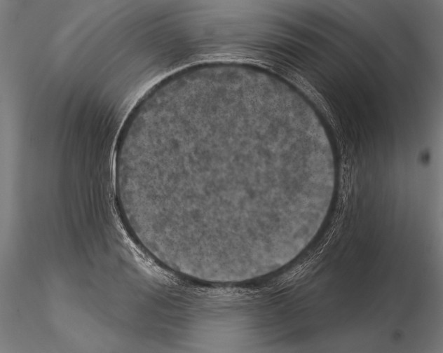 X0000115230988200912111026