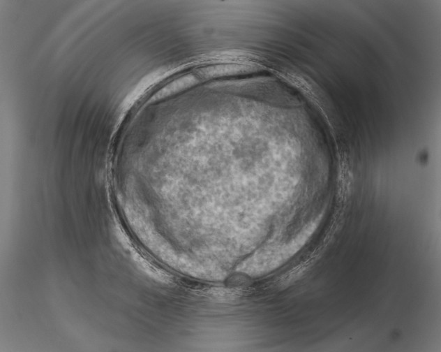 X0000115230989200912111026