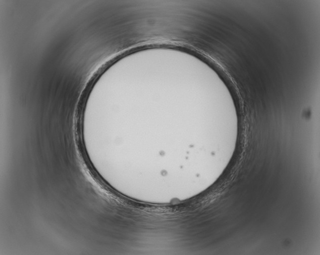 X0000115230991200912111026