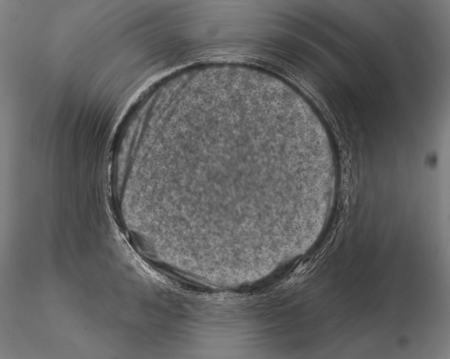 X0000115230992200912111026