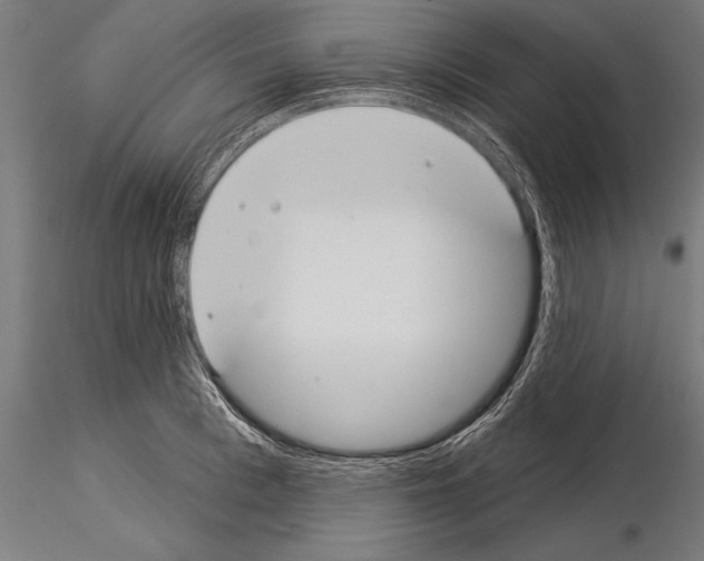 X0000115230993200912111026