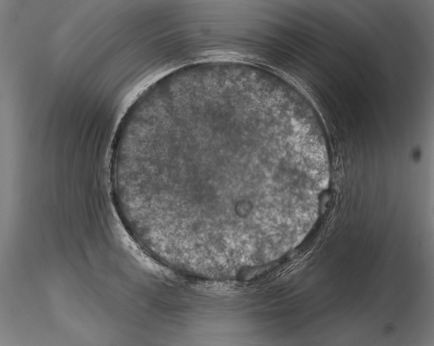 X0000115230995200912111026